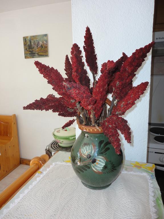 Guest House Astra Arbanasi Pokój zdjęcie